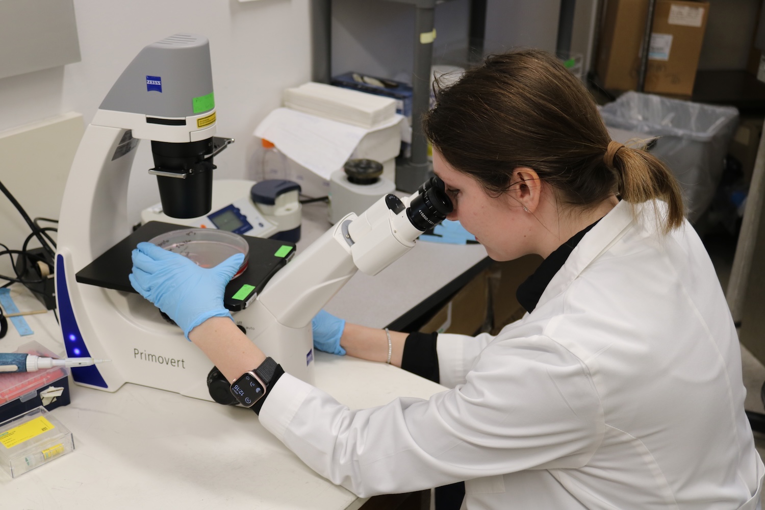 McCuen Lab