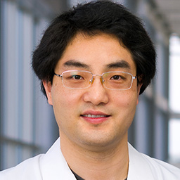 Shuai Wang, Ph.D.