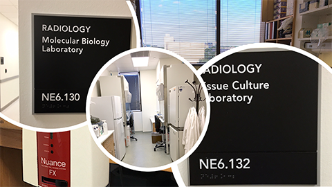 Cellular Biology and Molecular Pathology Program