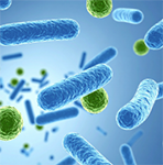 Blue and green bacteria