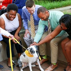 diverse group of professionals sit and pet dog on a leash