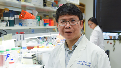 Zhijian Chen, Ph.D.