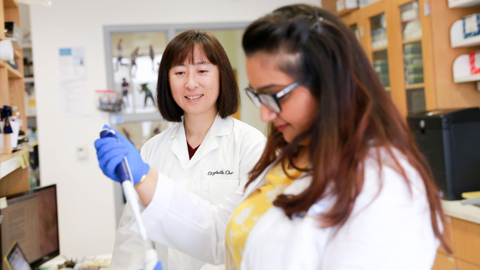 Faculty overseeing student in the lab