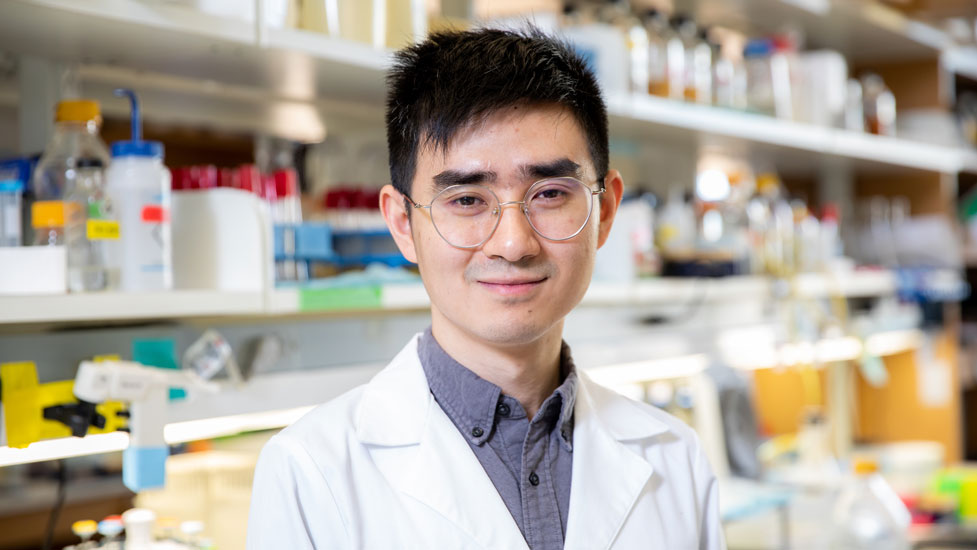 Jian Zhou, Ph.D.