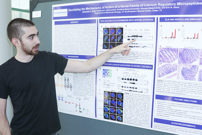 A student posting to his poster as he discusses his research. A male student points to his poster