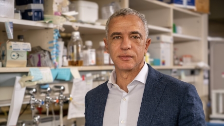Hesham Sadek, M.D., Ph.D.