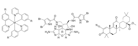 TexSynIII Chemistry Conference