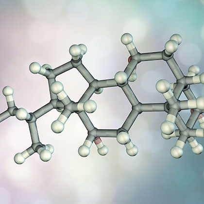 Bile acid molecule