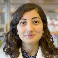 Esra Akbay, Ph.D.