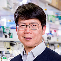 Zhijian James Chen, Ph.D.