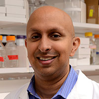 Rana Gupta, Ph.D.