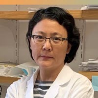 Jian Qiao, M.D., Ph.D.