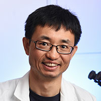 Fei Wang, Ph.D.