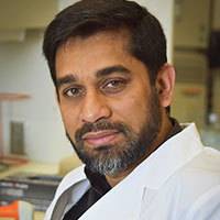 Hasan Zaki, Ph.D.
