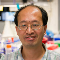 Xiaoming Zhan, Ph.D.