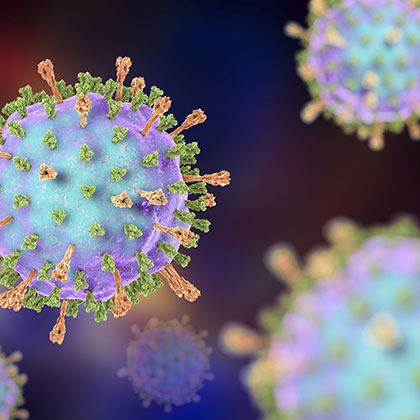 Mumps virus. 3D illustration showing structure of mumps virus with surface glycoprotein spikes heamagglutinin-neuraminidase and fusion protein)
