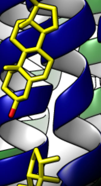 Molecular Biophysics image