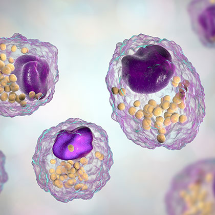 Lipid droplets. Lipid Droplet Image
