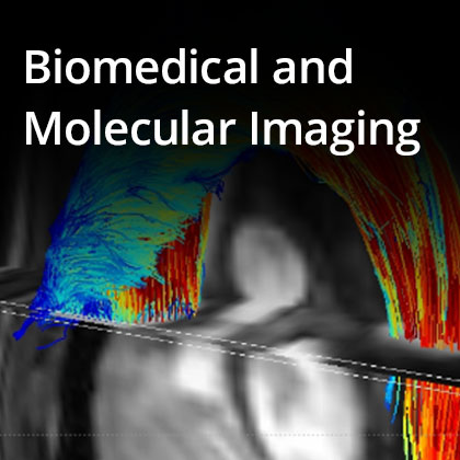 Biomedical image