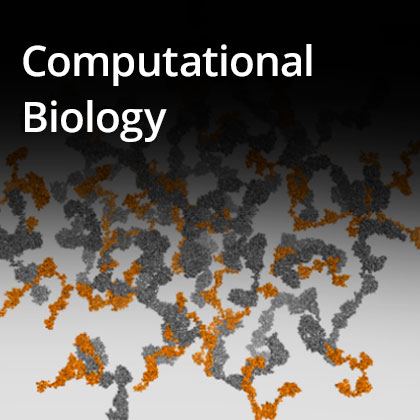 Computational Biology image