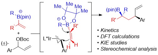 Mechanistic Basis for the Iridium-Catalyzed Enantioselective Allylation of Alkenyl Boronates