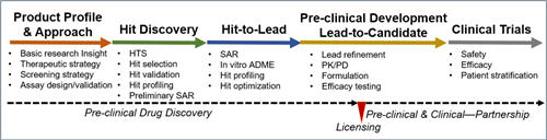 The Drug Discovery Process