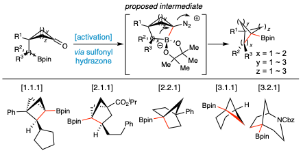 An Intramolecular Coupling Approach to Alkyl Bioisosteres for the Synthesis of Multi-Substituted Bicycloalkyl Boronates