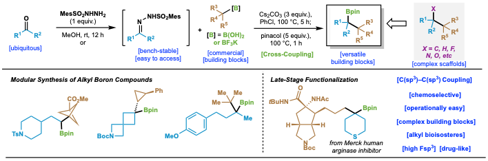 Practical and Modular Construction of C(sp3)-rich Alkyl Boron Compounds