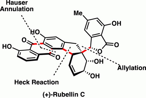 Total Synthesis of (+)-Rubellin C