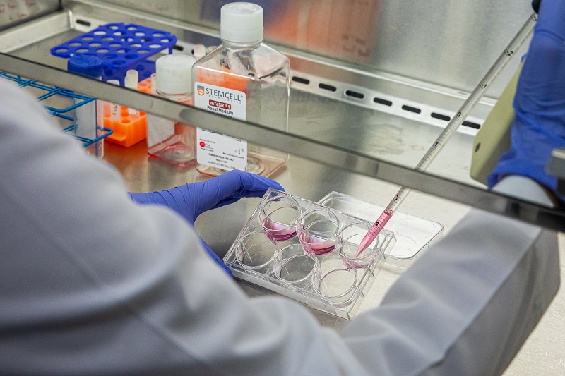 Graduate Students in Lab A graduate student adds pink liquid to round containers