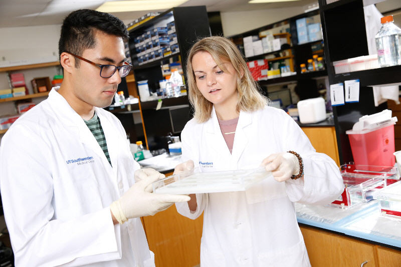 Students in lab