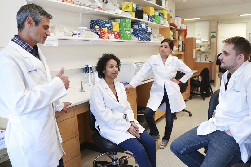 Four researchers collaborate in the lab