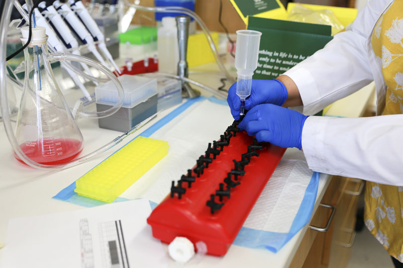 A researcher works in a lab