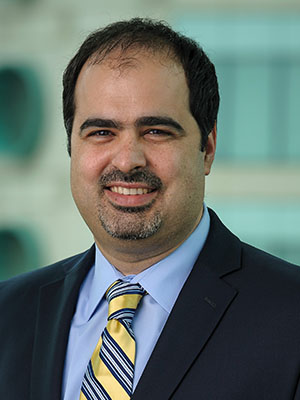 Hamid Mirzaei, Ph.D.