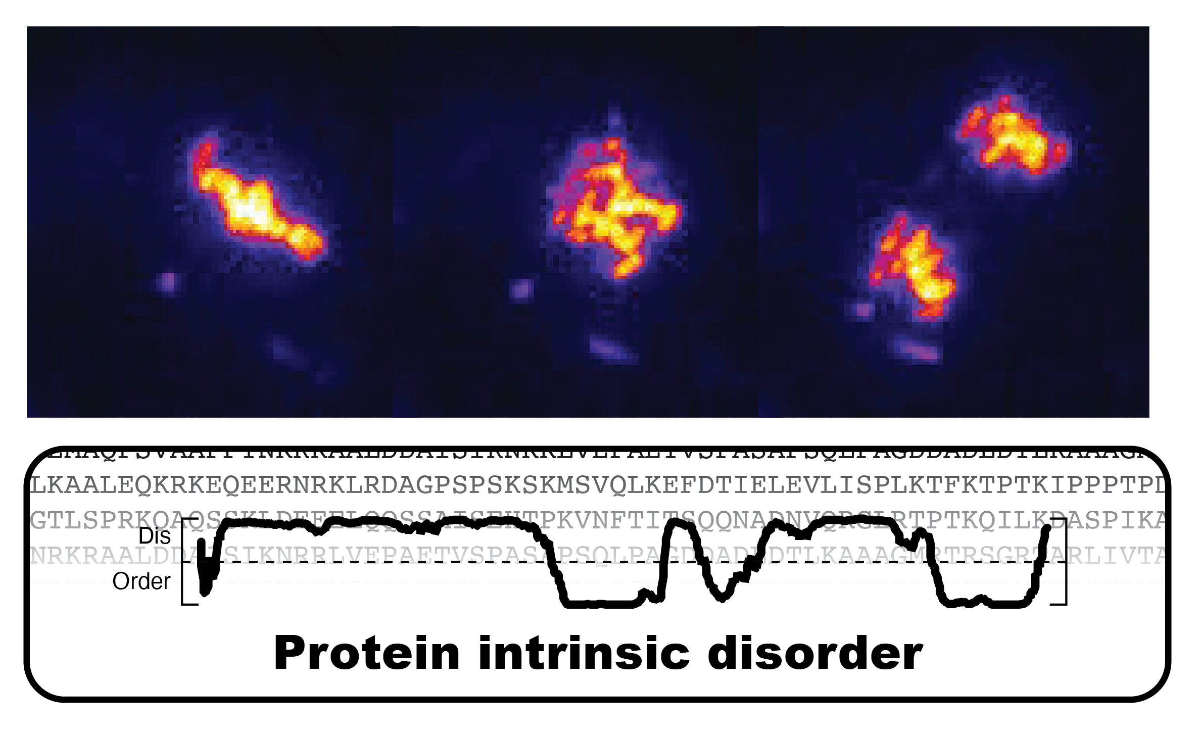 Parker Lab image