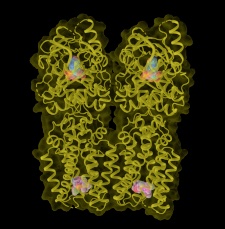 CryoEM image