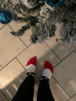 holiday socks