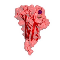 Robert Orchard Lab research image