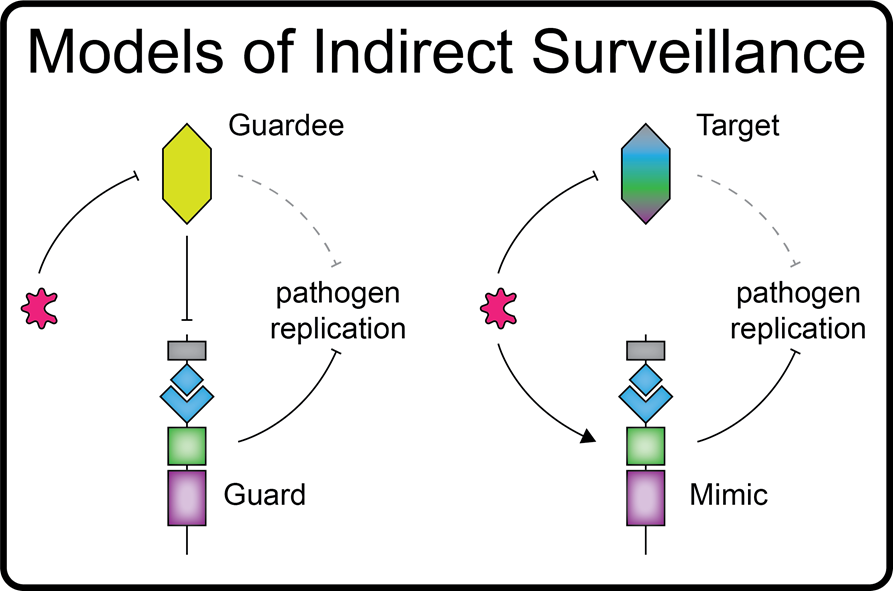 Andrew Sandstrom lab image