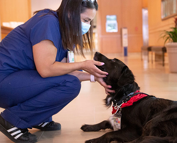 Healthcare worker with therapy dog