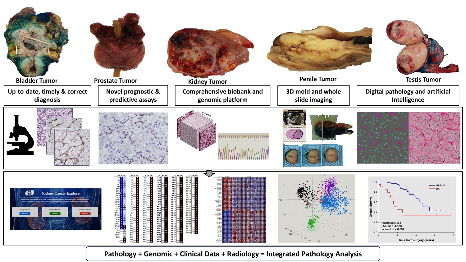 GU Pathology Slides