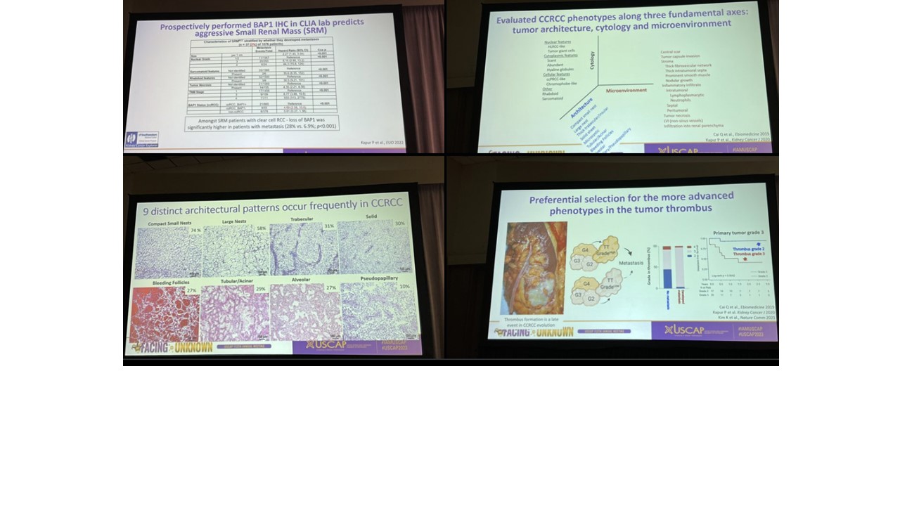 USCAP 2023