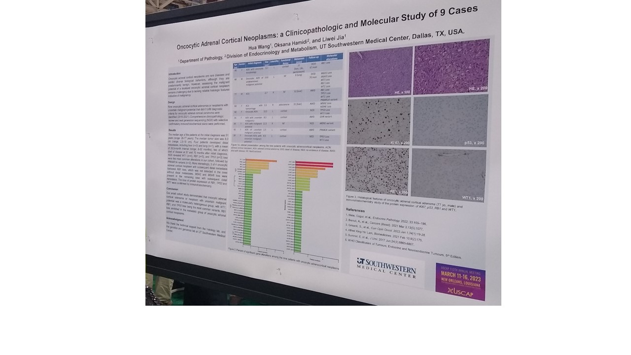 USCAP 2023