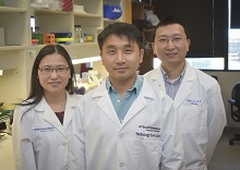 Luo Lab Luo Lab