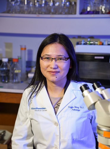 Dr. Yingfei Wang Dr. Yingfei Wang