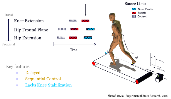 Dhaher figure 2