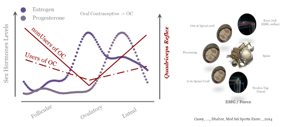 Dhaher figure 3