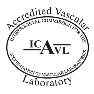 ICAVL Logo