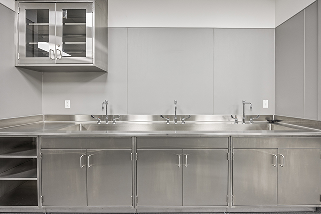 Shiny stainless steel sinks and cabinetry align a wall in the anatomy laboratory.