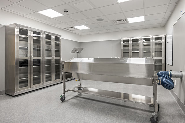 Stainless steel cabinets along left and back wall of a room in the anatomy lab. A stainless steel table on wheels is in center of room.